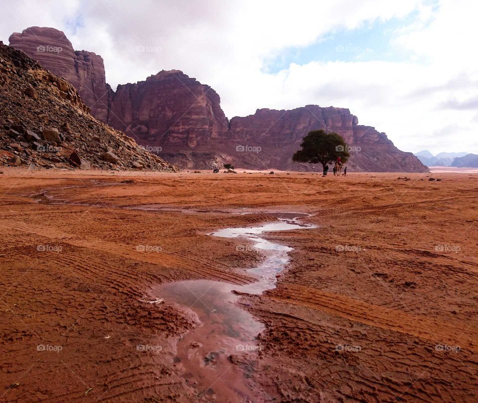 Wadi Rum beauty