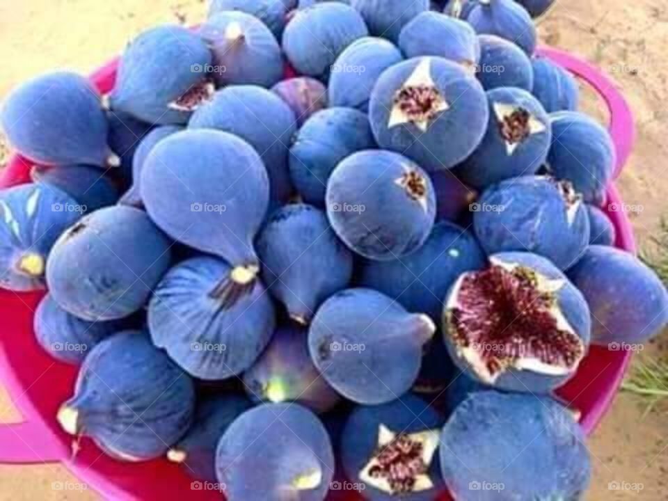 fruit figs soon at morocco