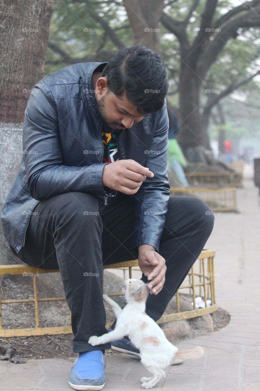 Care a small baby cat