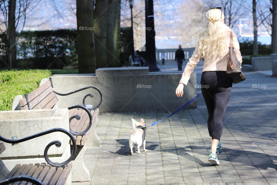 Woman and her dog walking in the city