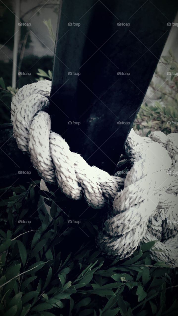 entwined for good... discarded rope.. still entwined around a pole