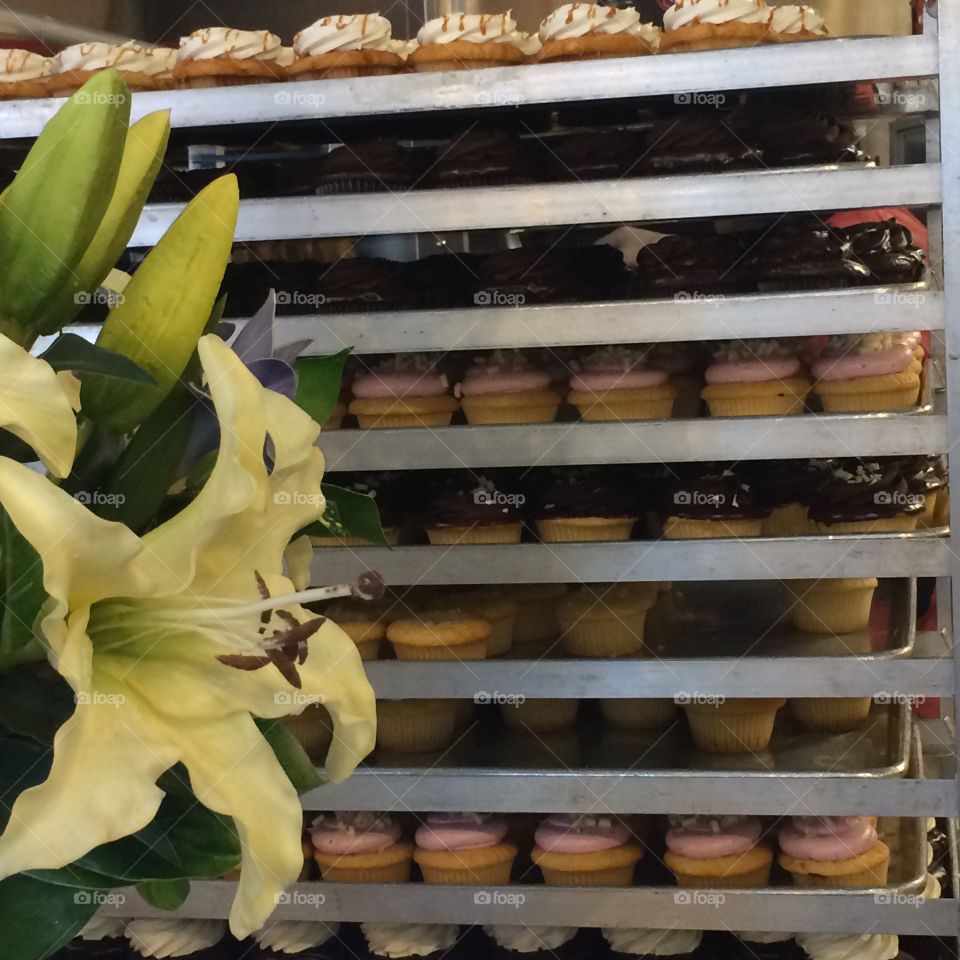 cupcakes at a bakery 