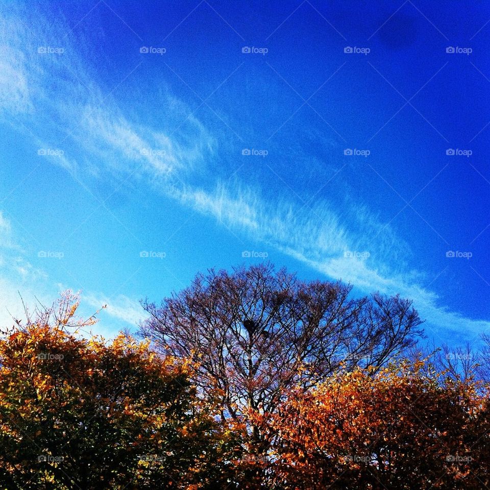 Blue sky