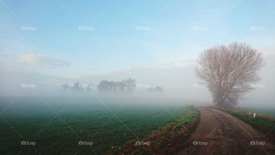 Path through countryside with morning mist