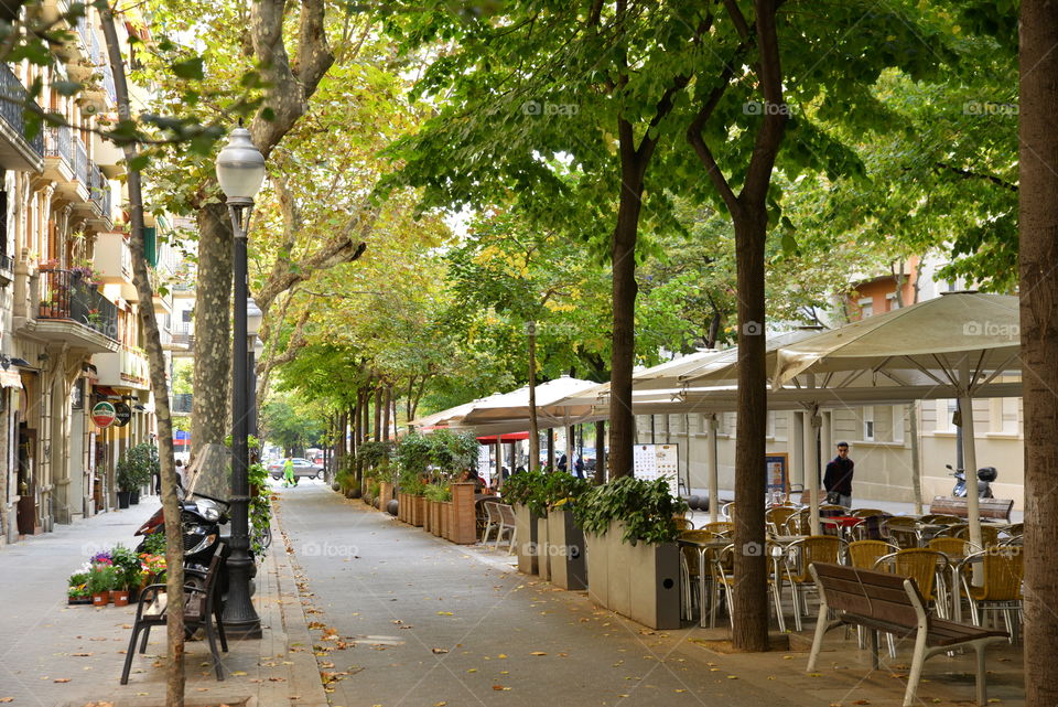 street with trees