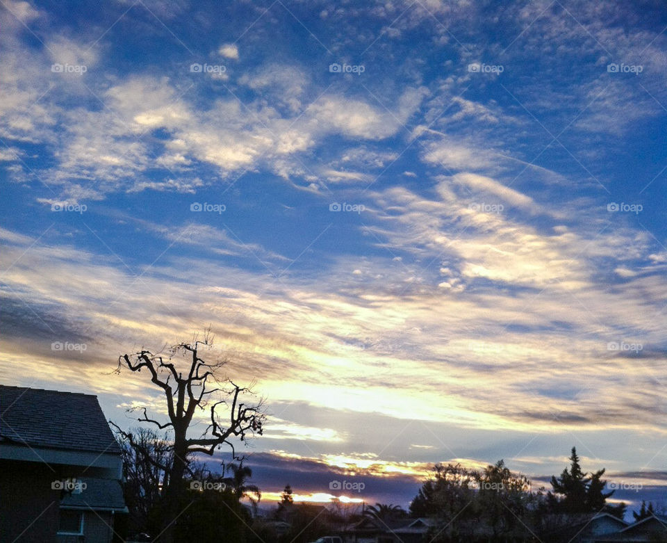 Sunrise Exeter, CA