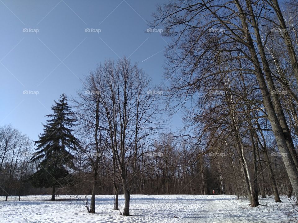 winter landscape in the solar park blue sky background