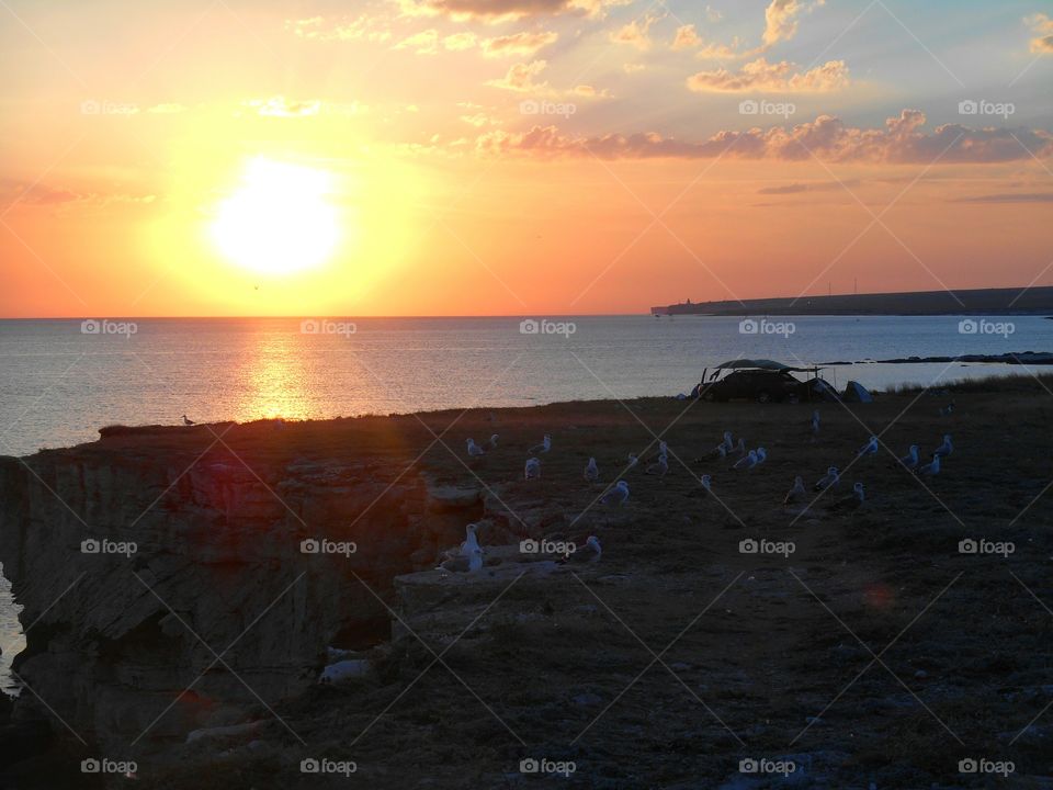 wild travel people resting on a orange sunset sea shore and seagulls summer time