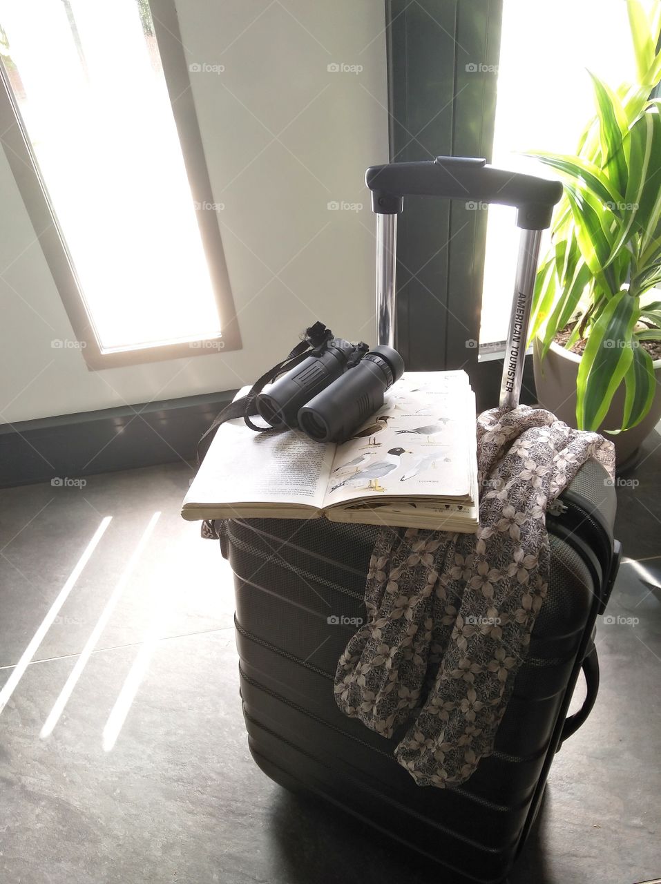 suitcase for holiday