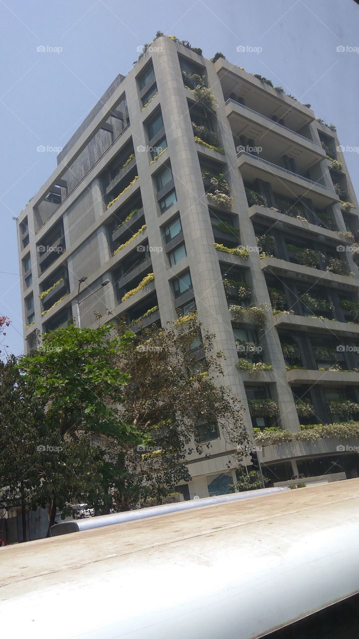 Building with Nursery Plants