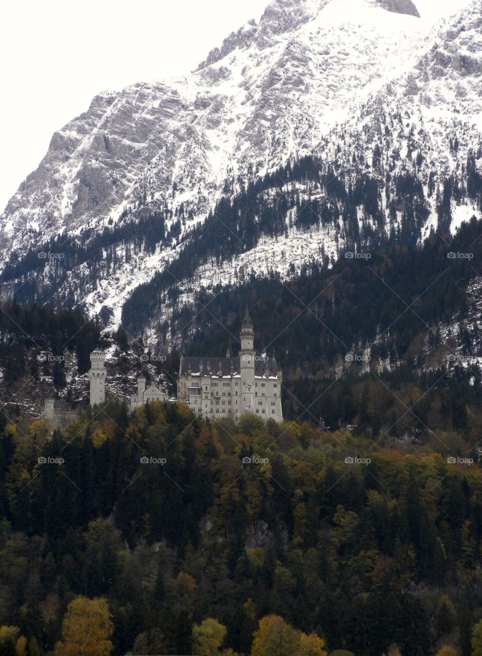 neuschwanstein