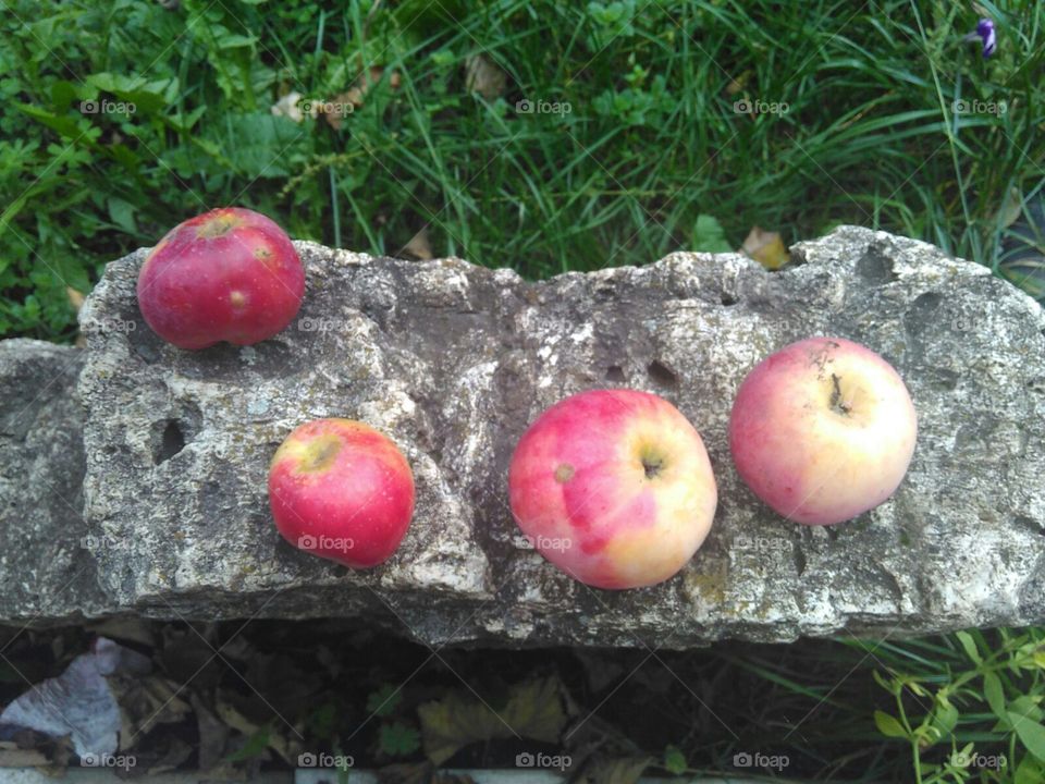 apples on stone