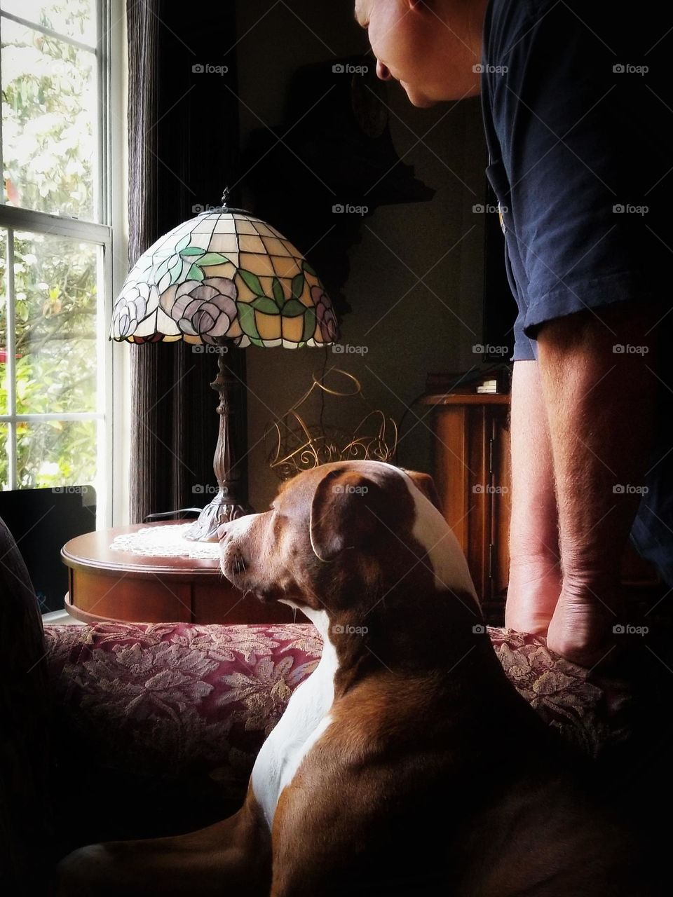 Man & Dog Looking Out a Window