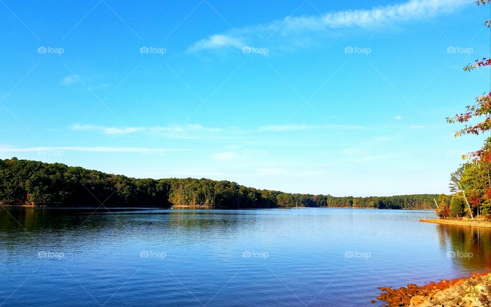 lake scene