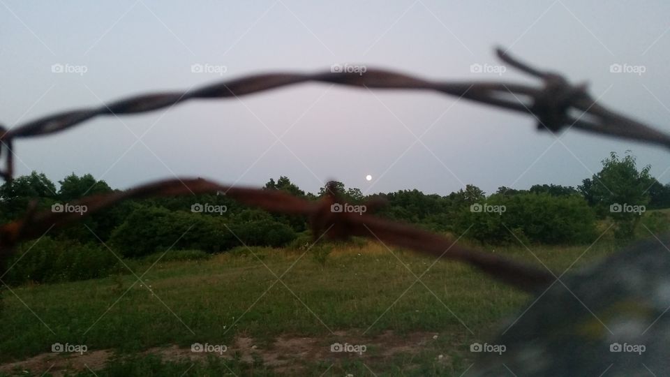 Fence & moon I