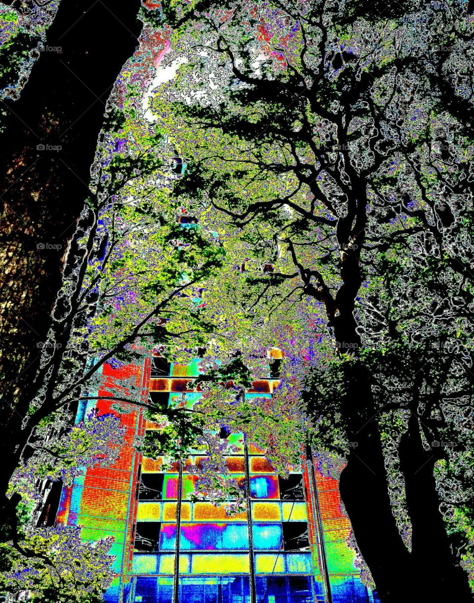 Building in the woods