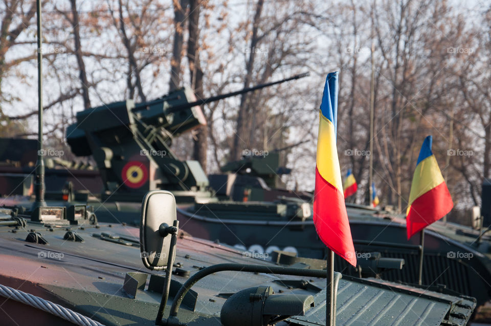 Romanian National Day Parade