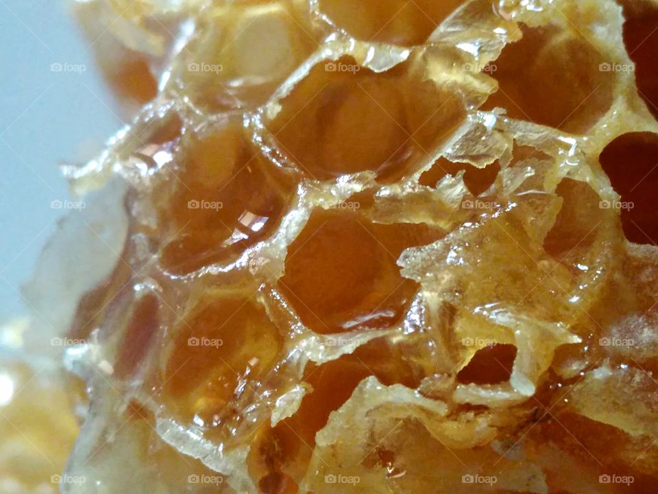 Close up of Honeycomb