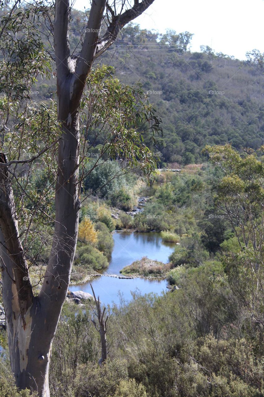 bushwalking by a river