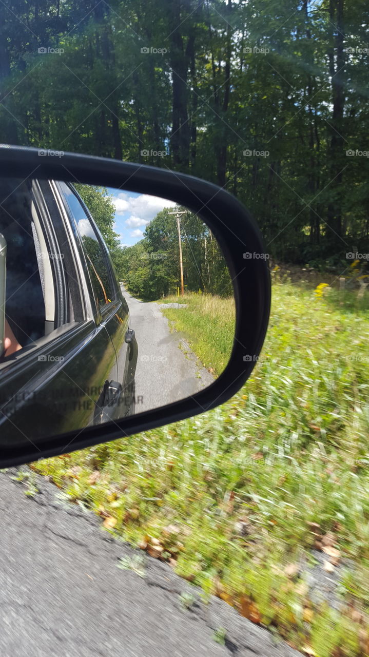 woods in car mirror