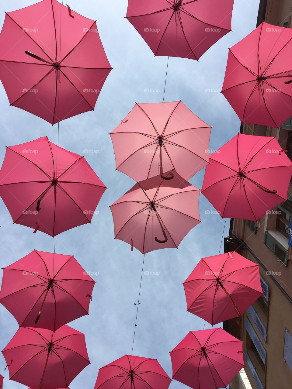 Pinky umbrellas 