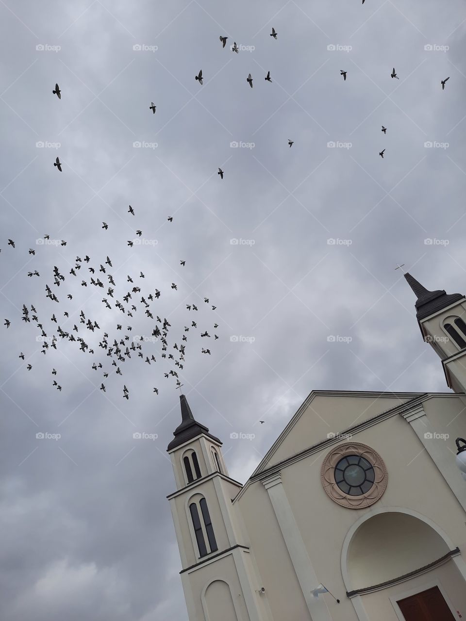 flock of birds above local church