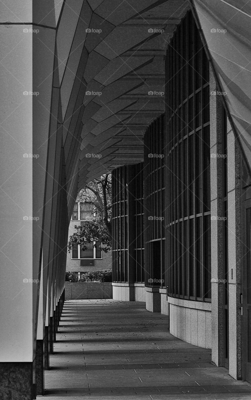 black and white architecture