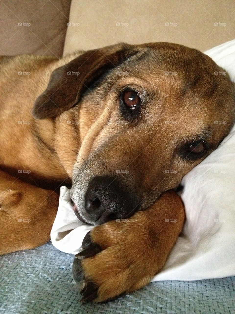 Mommy, tell me bedtime story?