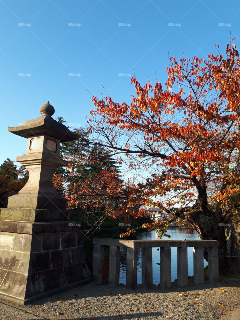 日本にある上杉神社の秋