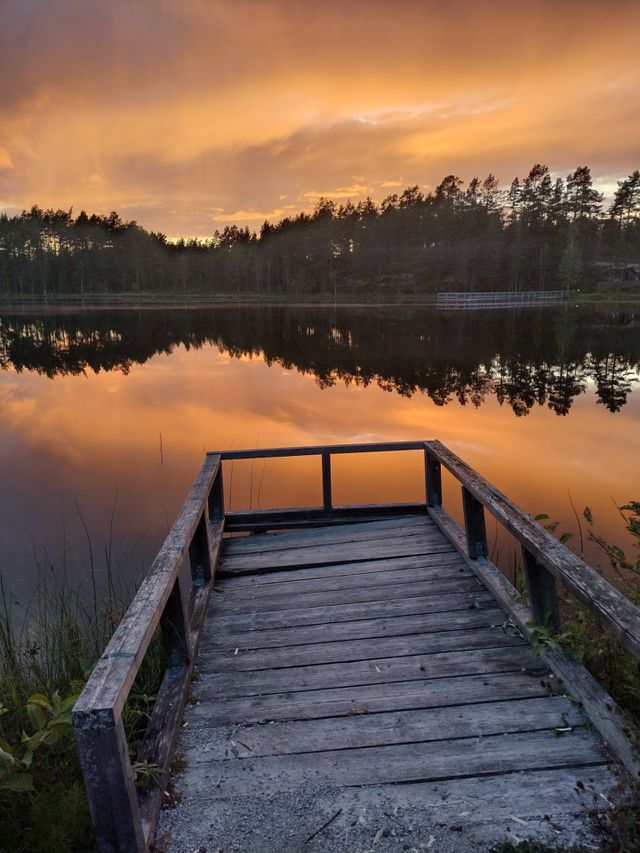 Swedish nature, lake reflection