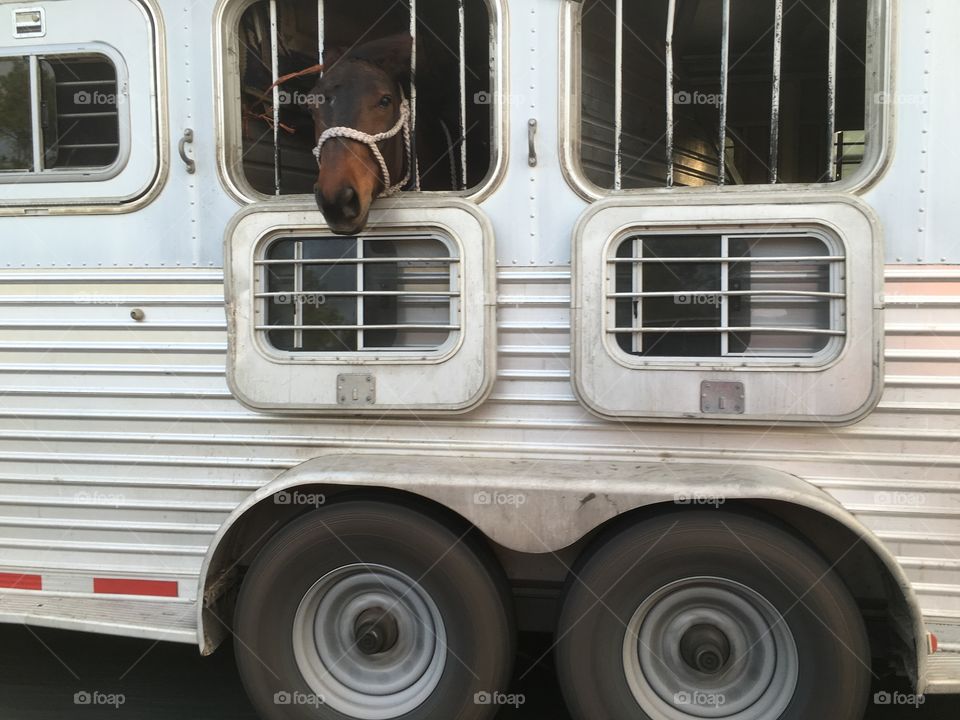 Vehicle, No Person, Transportation System, Car, Bus