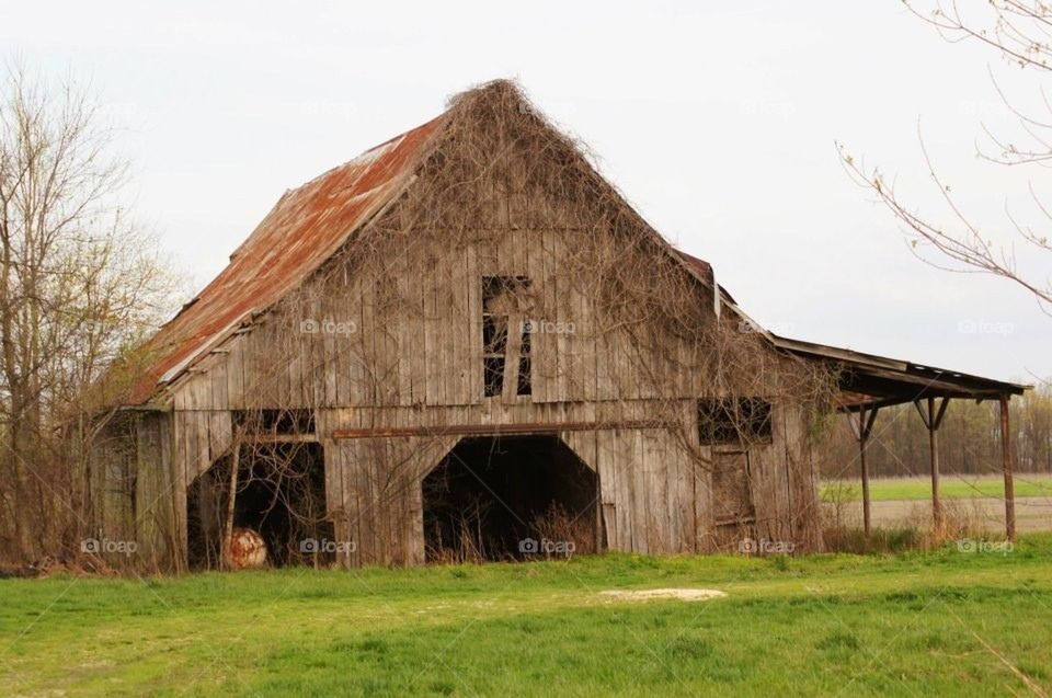 Rustic barn 