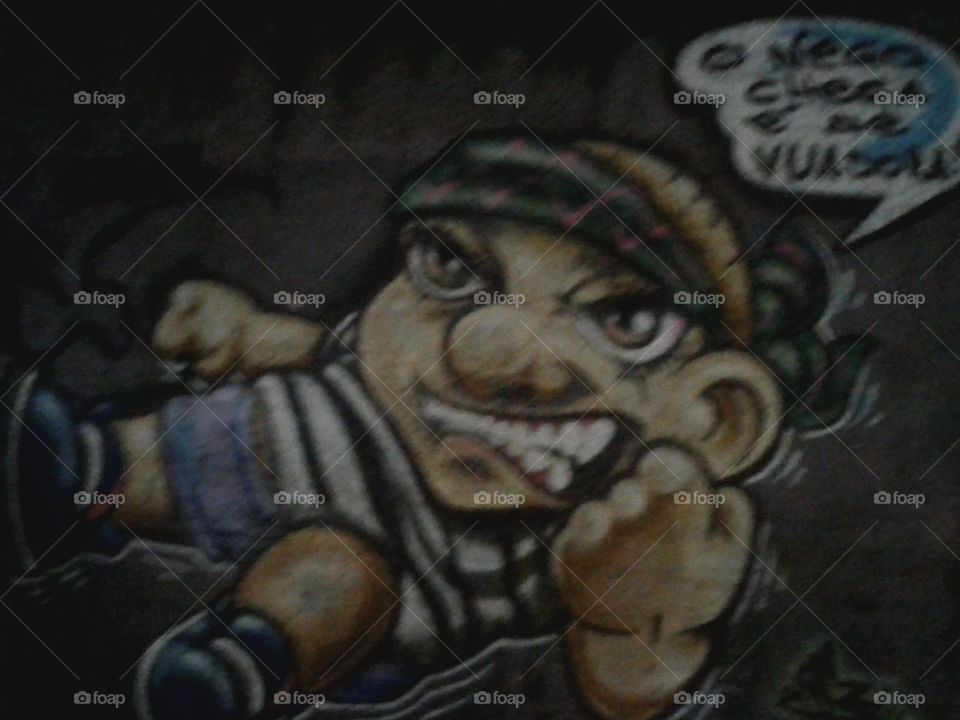 Brasil Street Figther  art