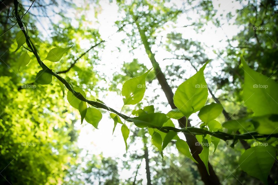 Enjoying nature during the hike