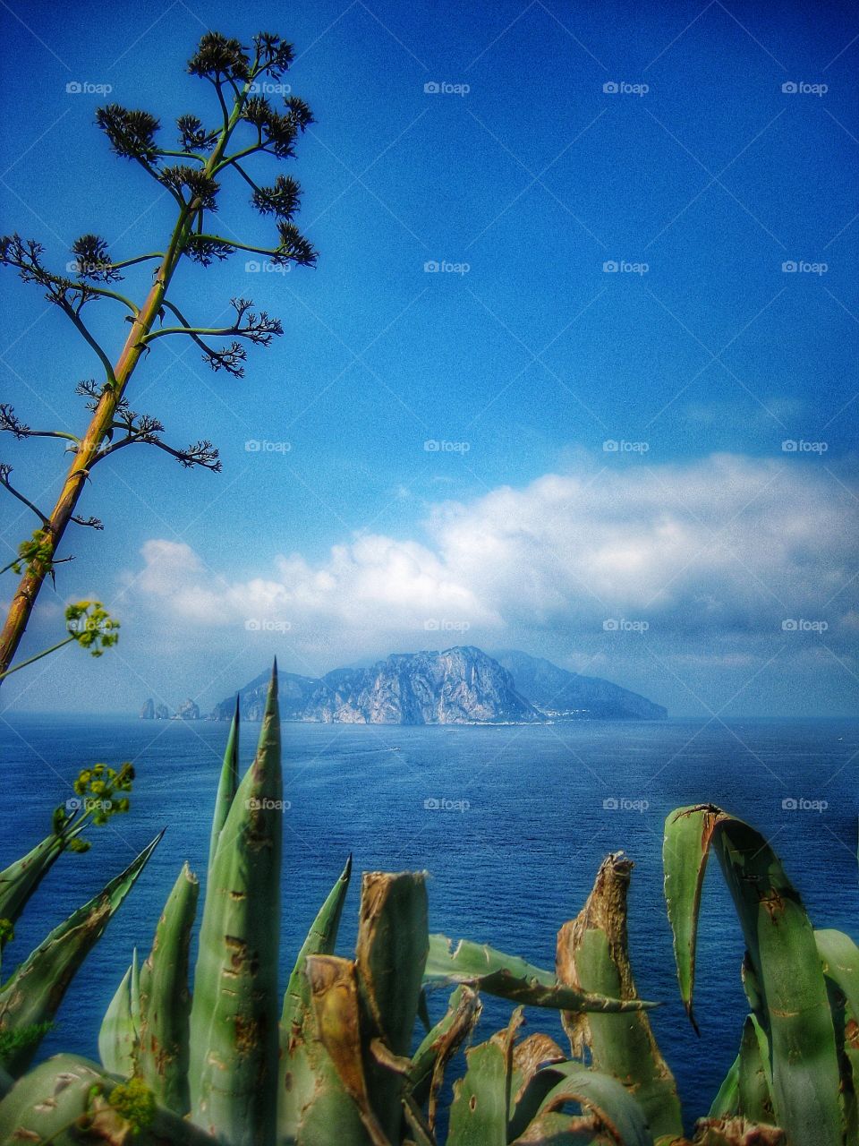 View of the Island of Capri