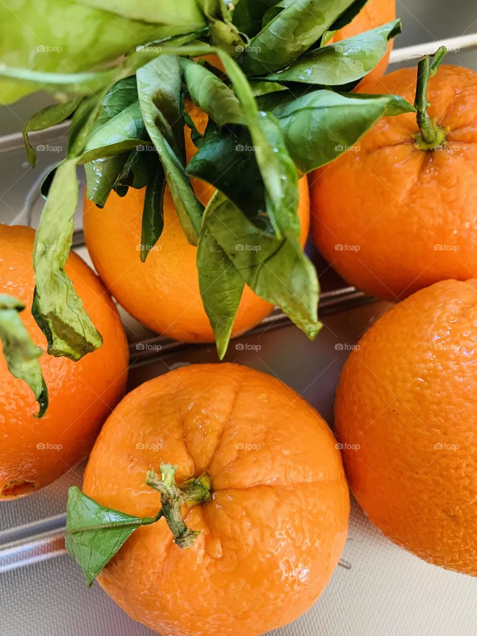 Oranges
