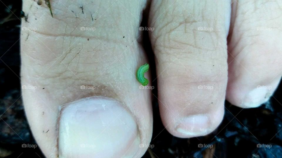 insect on foot