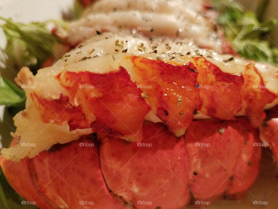Oven baked lobster tail is the main course at a dinner party.
