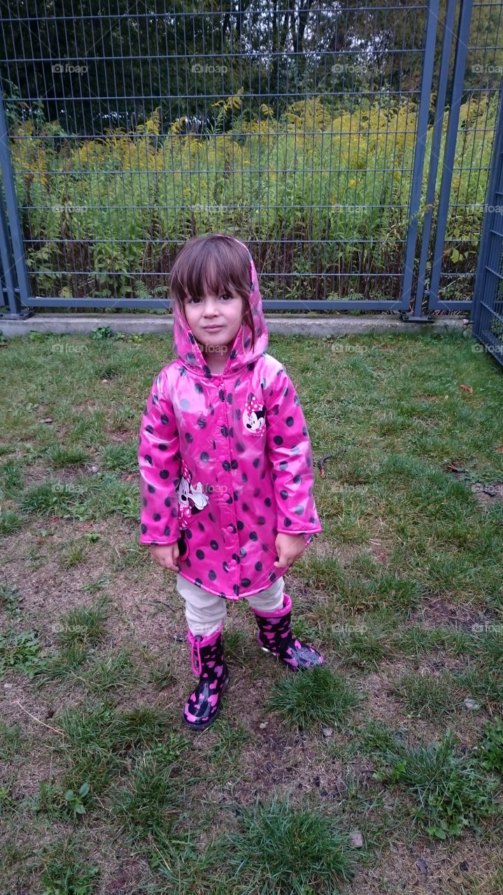 We are looking for snails