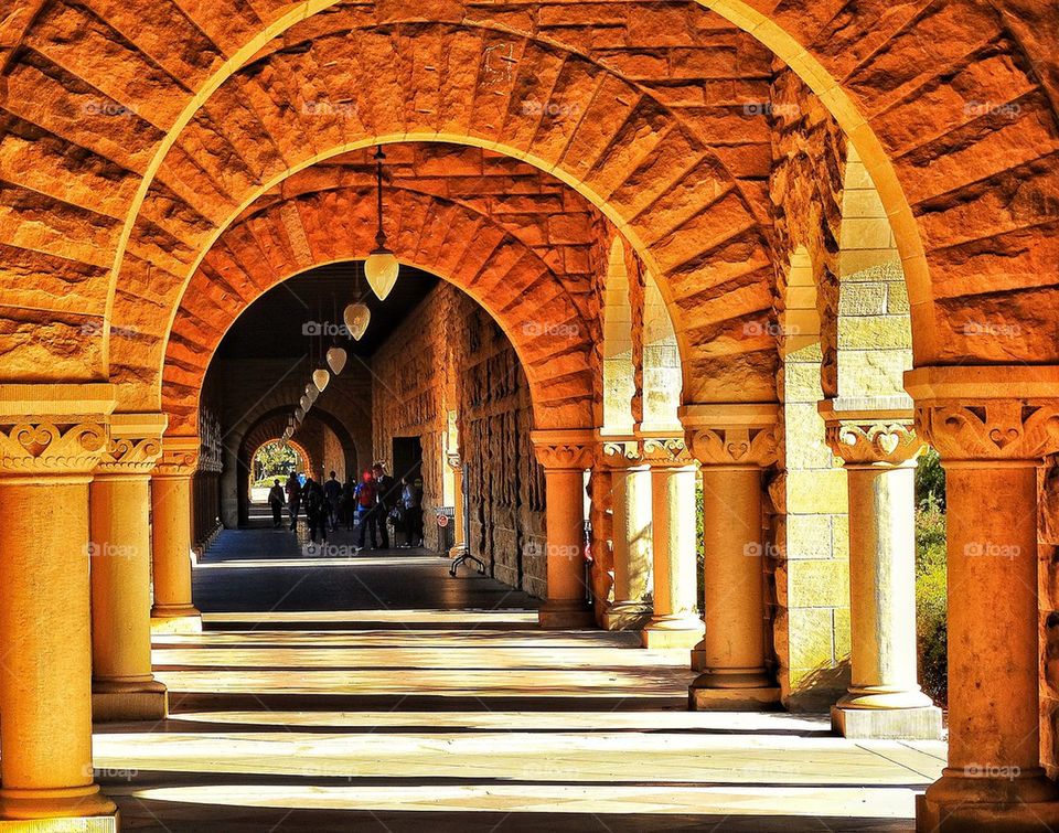 University. Classical Architecture In A Sunlit Corridor
