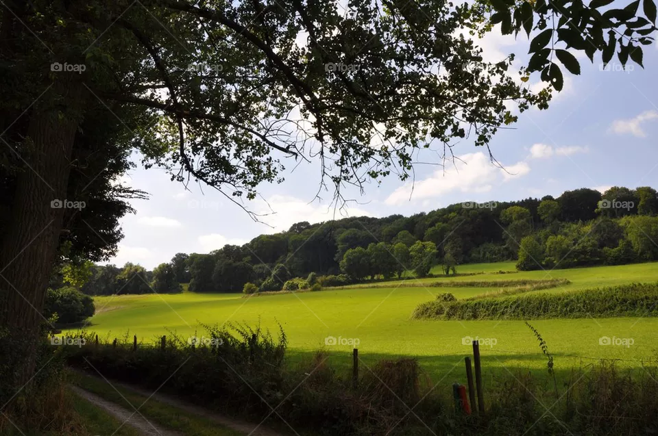 Sunny Hill.
