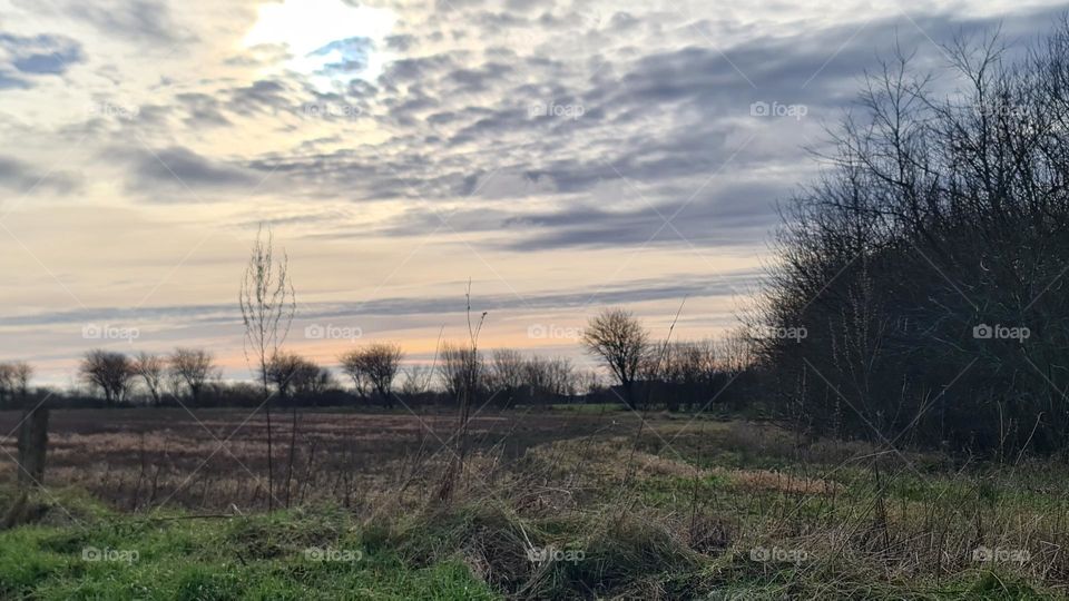 Landschaft Abend evening Skype Himmel Feld field
