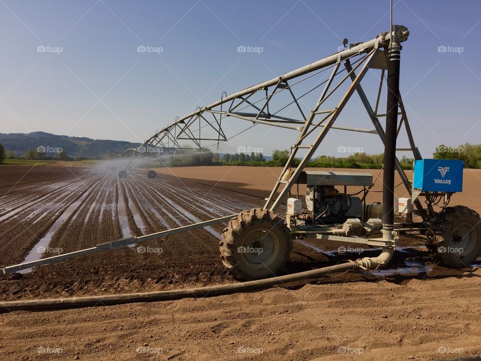 Field crop linear irrigation