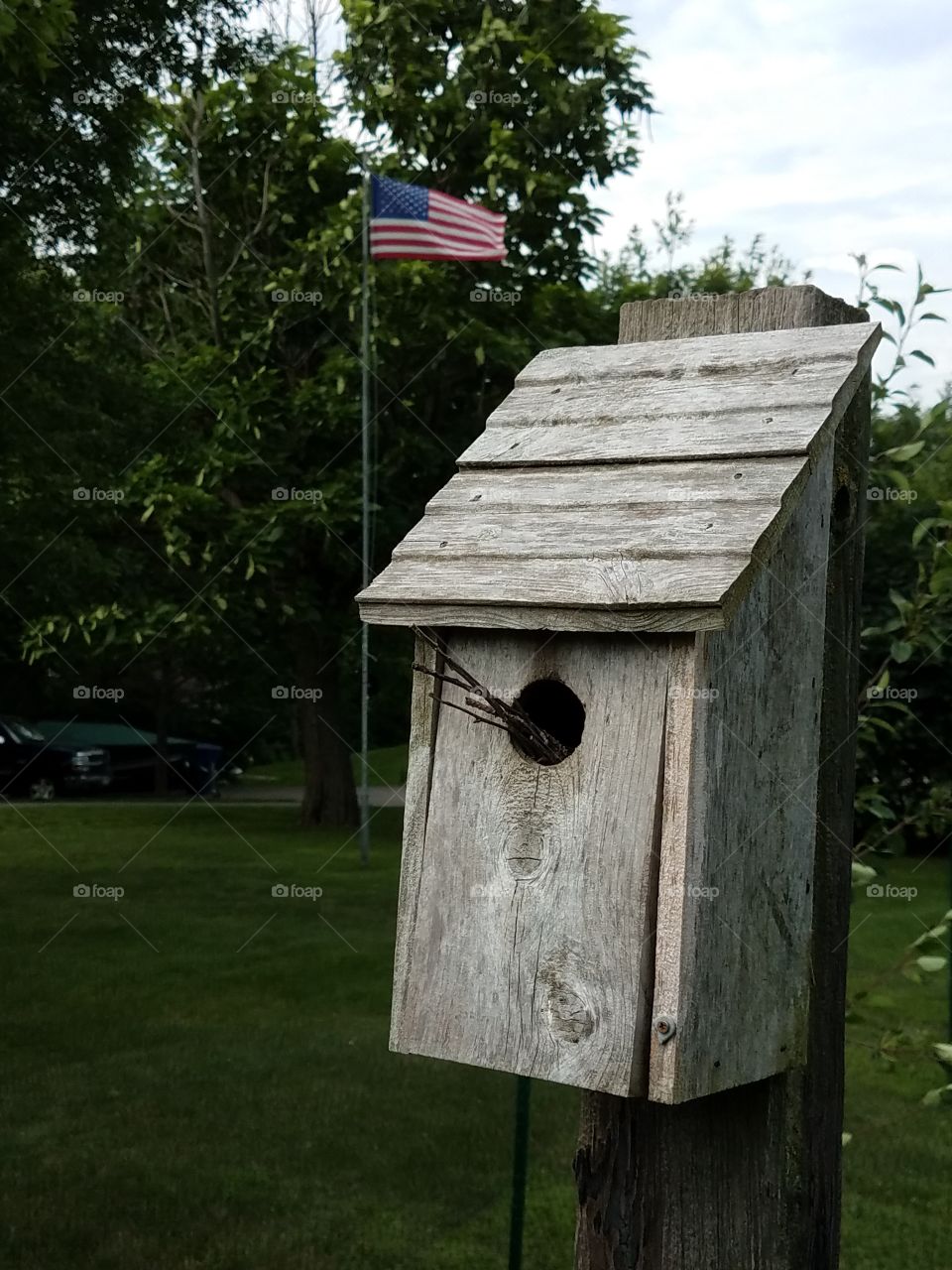 American Flag over Birdhouse