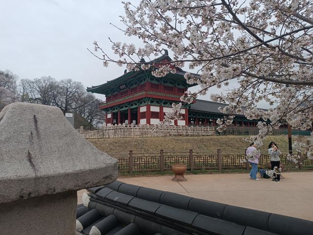 Spring