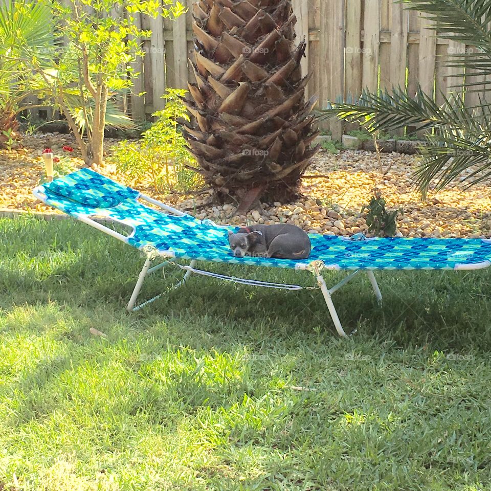 I'm working On My Tan