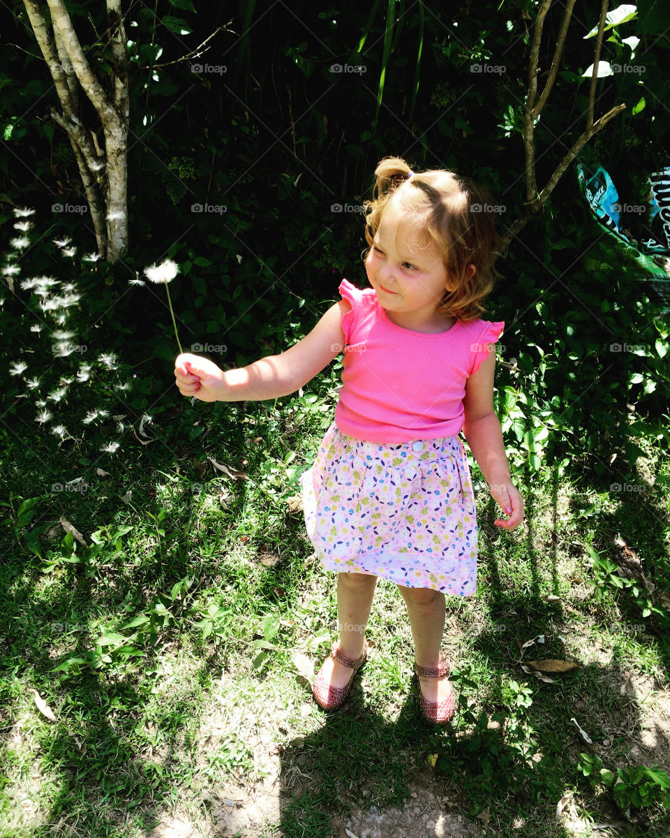 The joy of watching the dandelion petals fly ... So charming!  There's even a ray of light on my baby ... / A alegria de ver as pétalas do dente-de-leão voarem... Tão encantador! Tem até um raio de luz sobre minha filhota...