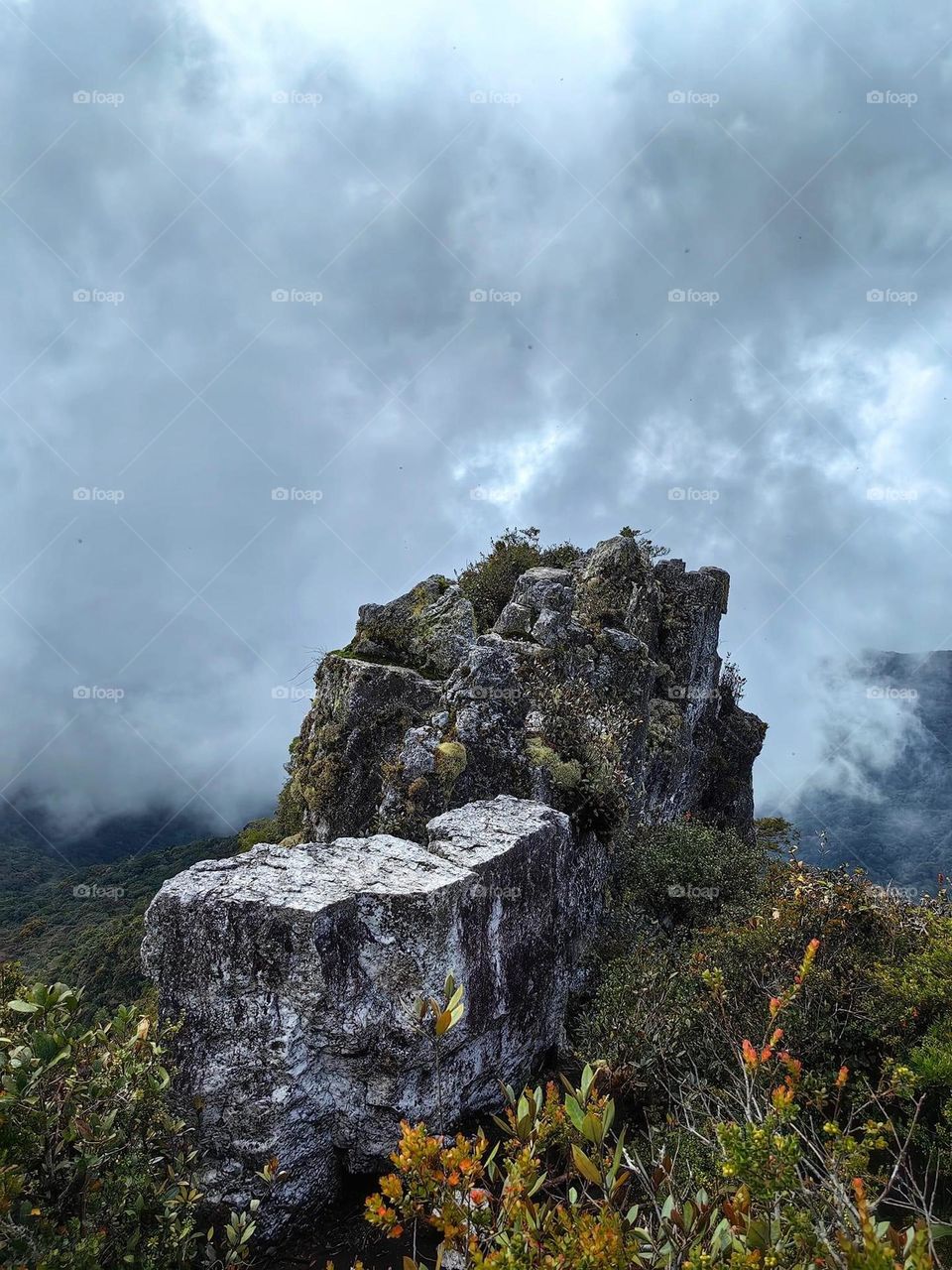 Strange rock in jungle