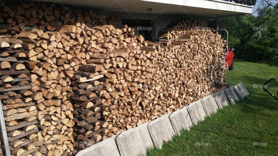 Firewood for winter time