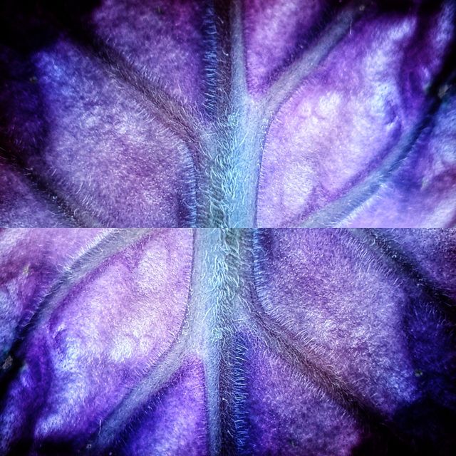 Symmetry